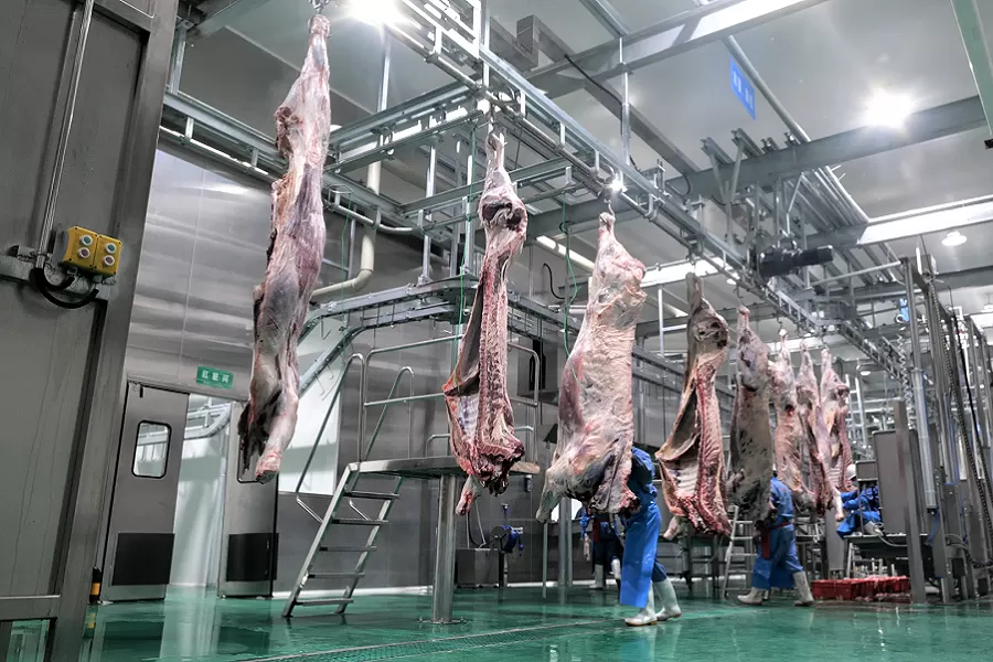 Slaughterhouse Wastewater Treatment.png