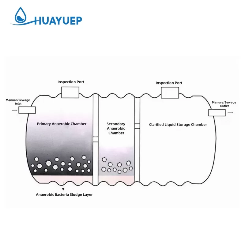 primary sedimentation and anaerobic fermentation