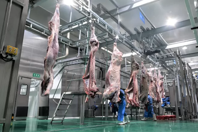 Slaughterhouse Wastewater Treatment